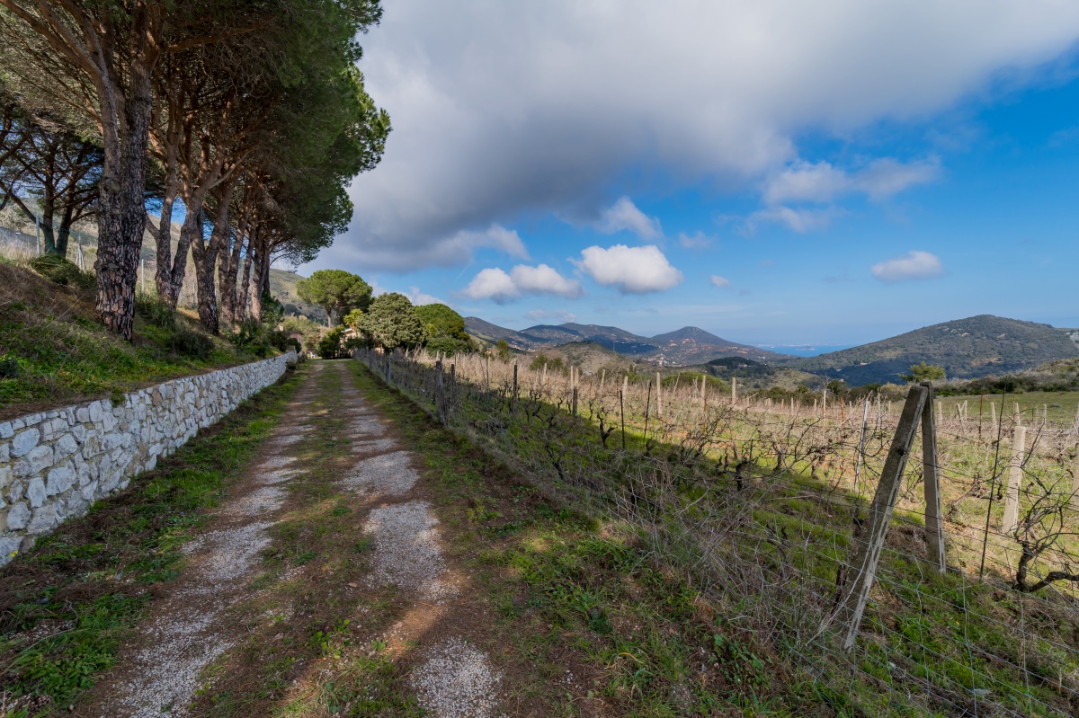 Villa Campo al Pero 